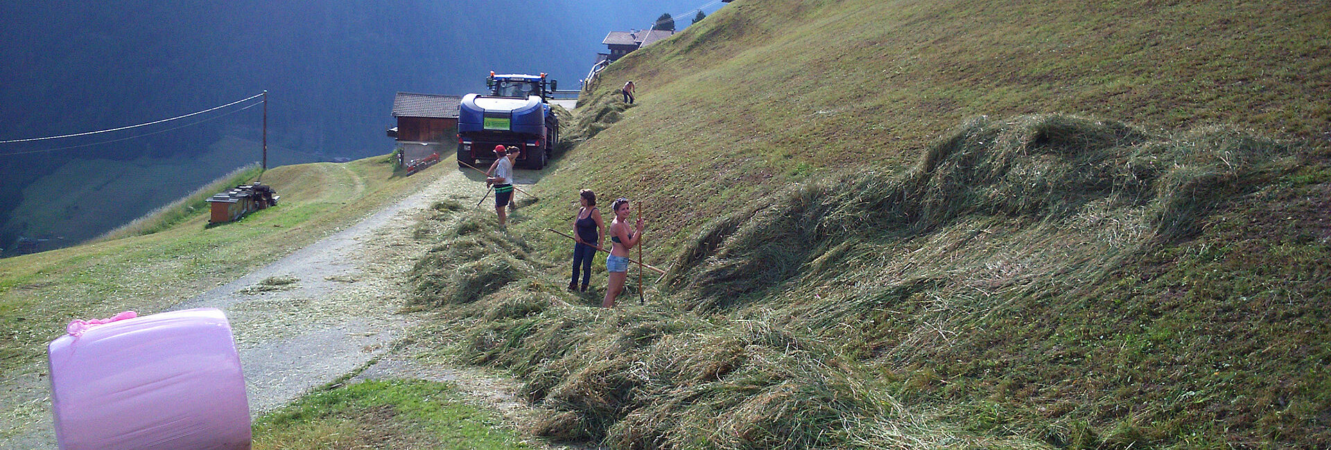 [Translate to Italienisch:] Grassiloballen